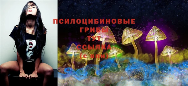соль ск Киреевск